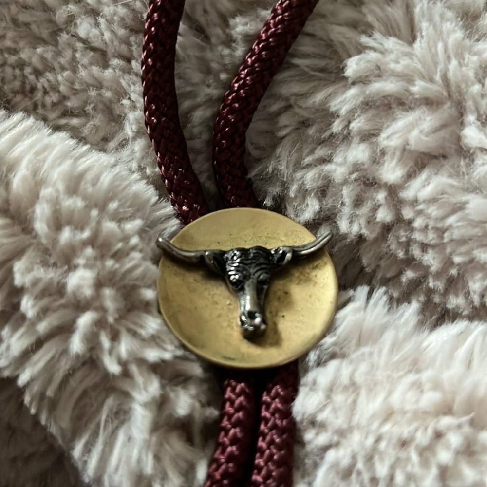 Unique BOLO tie!!